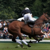 Polo, Commercial Wedding Photographers: Photoscience.co.uk